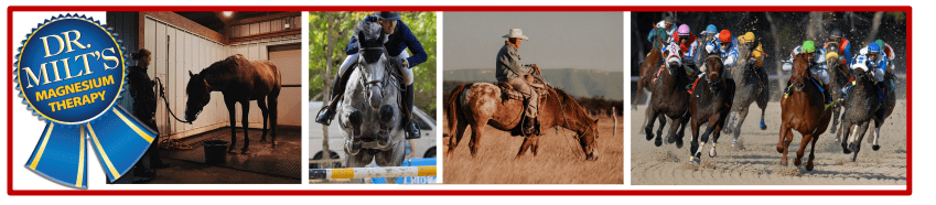 Equestrian athlete jumping over an obstacle during a competition.