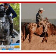 Horses in various activities and Dr. Milt's logo.