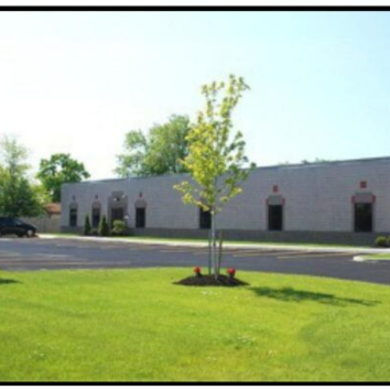 A tree in the middle of a parking lot.